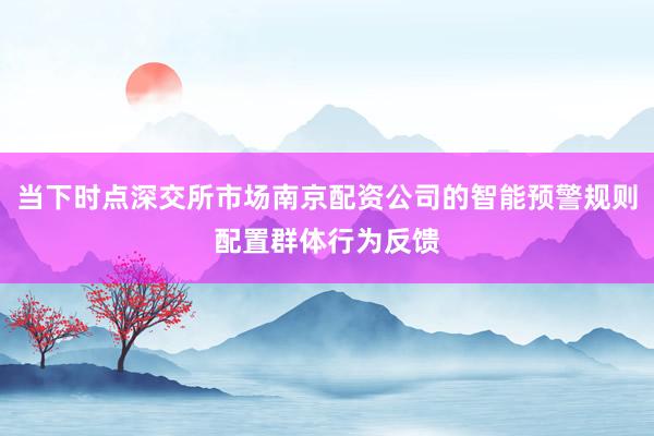 当下时点深交所市场南京配资公司的智能预警规则配置群体行为反馈