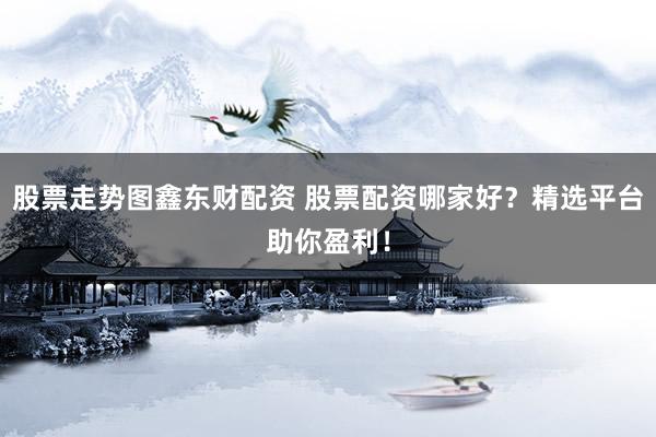 股票走势图鑫东财配资 股票配资哪家好?精选平台助你盈利!