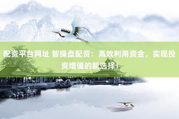 配资平台网址 智操盘配资：高效利用资金，实现投资增值的新选择！