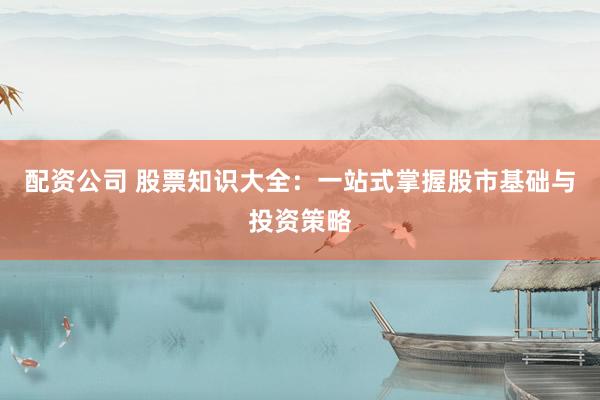 配资公司 股票知识大全:一站式掌握股市基础与投资策略